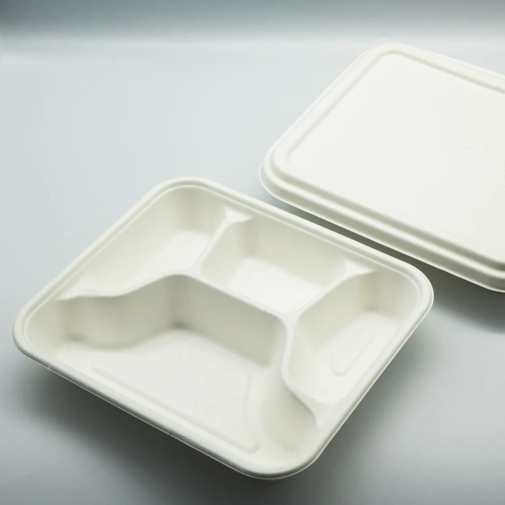 

Compostable large disposable sugarcane pulp container packaging bagasse tableware lunch food bento box tray with removable lid, White or unbleached