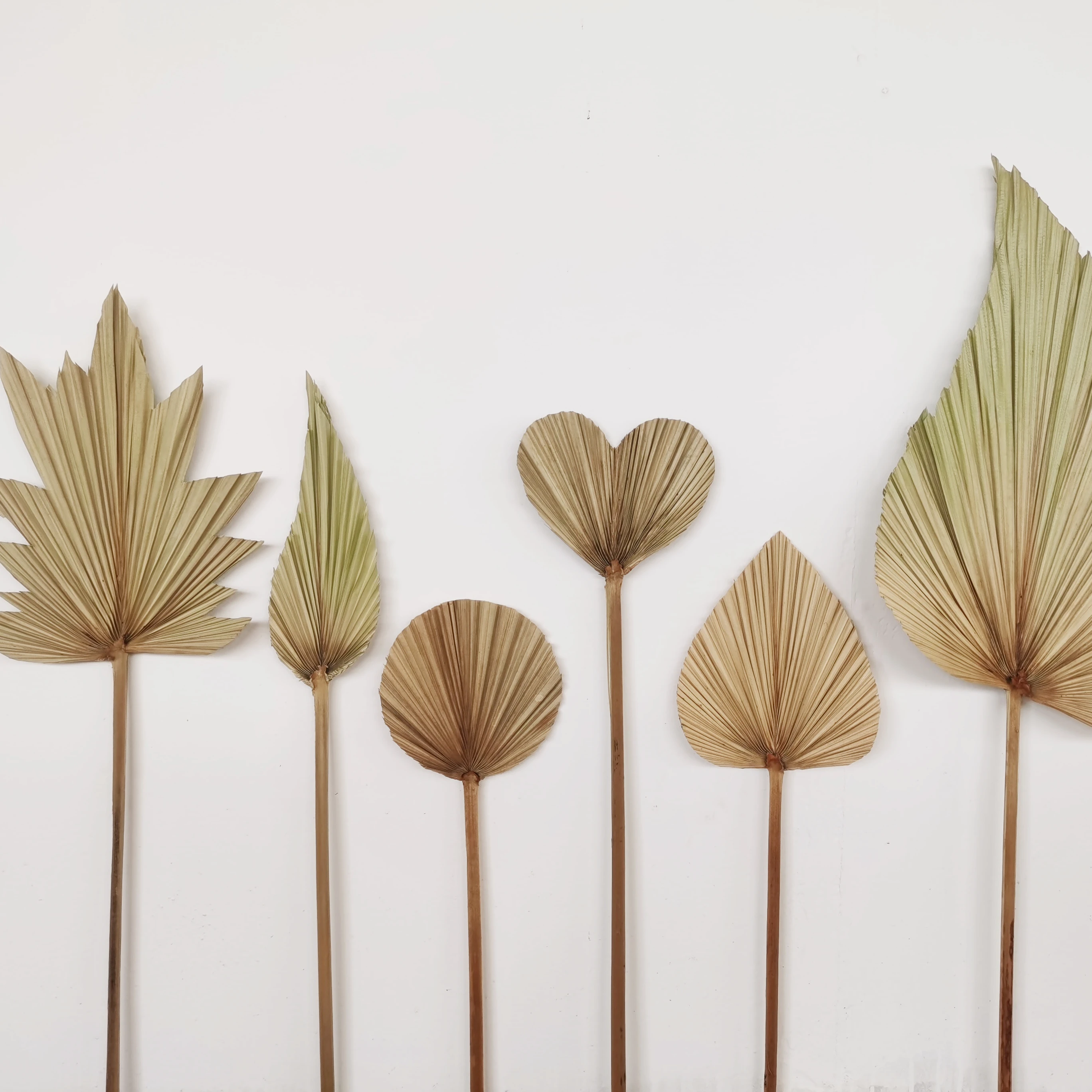 

2022 INS Hot Selling Decoration New Style Dried Palm Leaves For Home Decoration