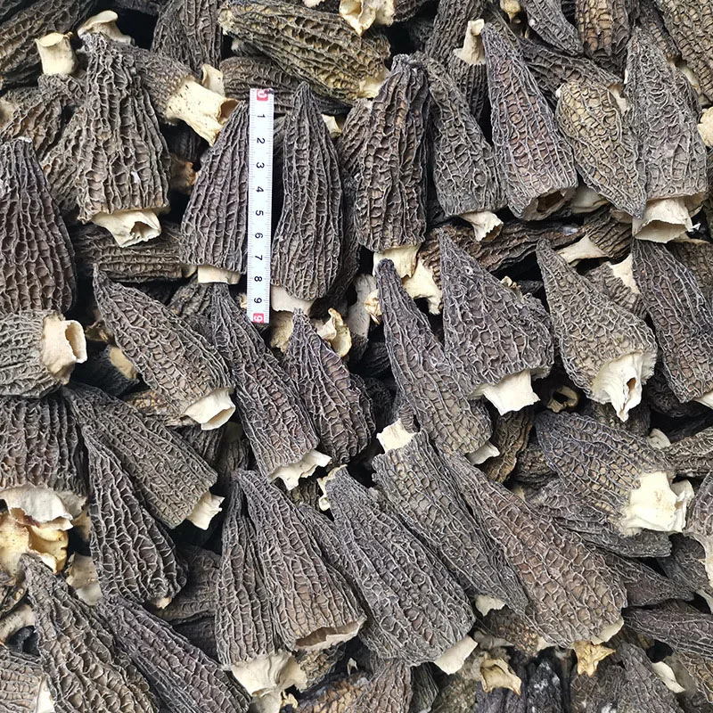 
price of whole fried wild mushroom morchella 