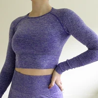 

Nepoagym Women Vital Seamless Longsleeve Cropped Top Gym Crop Top Yoga Top Sports Wear for Women Gym Workout Shirts