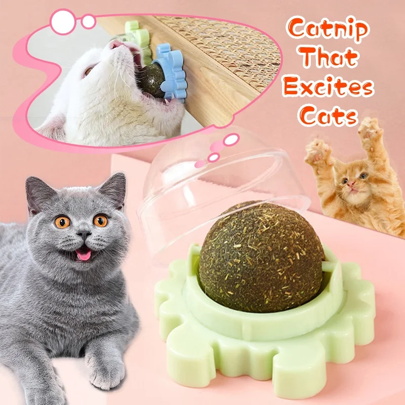 

2022 Best Sellers Cat Favorite Contain Catnip Chew Toys Pet Cat Treats