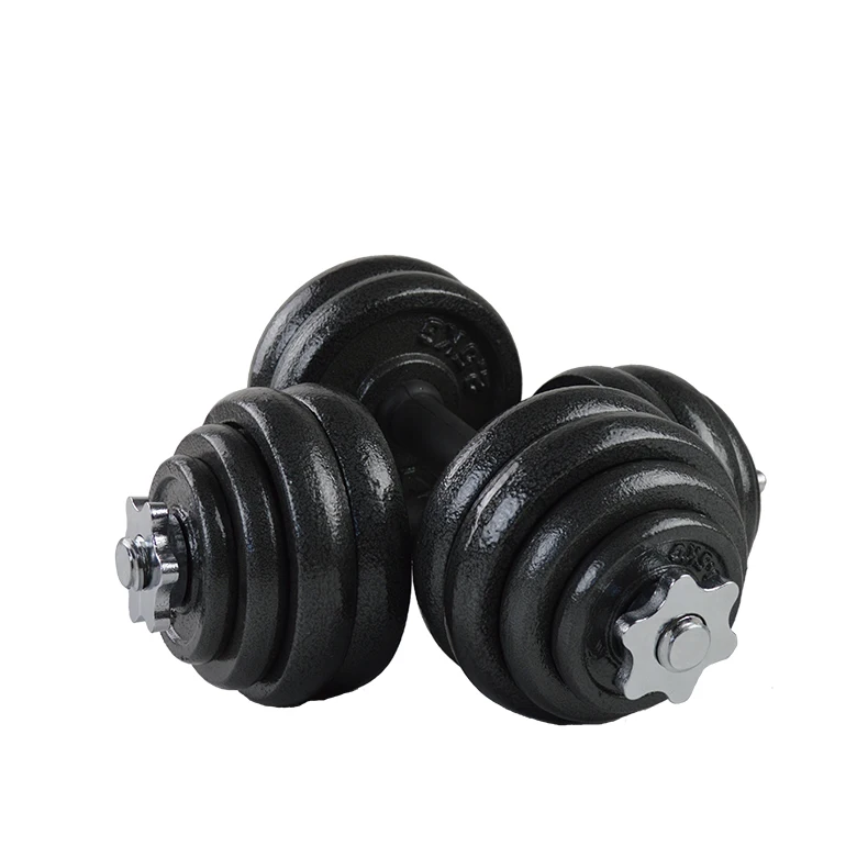 
High Quality 20kg 15kg 50kg Weight Baking Paint Dumbbell 