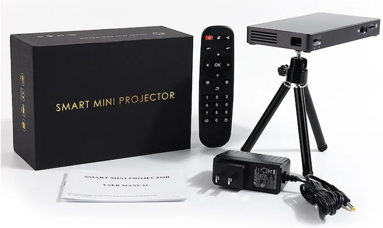 P8I Projector0