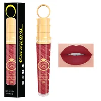 

OEM Make Up Lips Matte Liquid Lipstick Waterproof Long Lasting Sexy Pigment Nude Glitter Style Lip Gloss Beauty Red Lip Tint