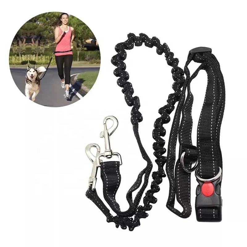 

Hands Free Leash Running Dog Lead Adjustable Waist Belt for Jogging Hiking Dog Lead Leash Bungee Harness, Customized color