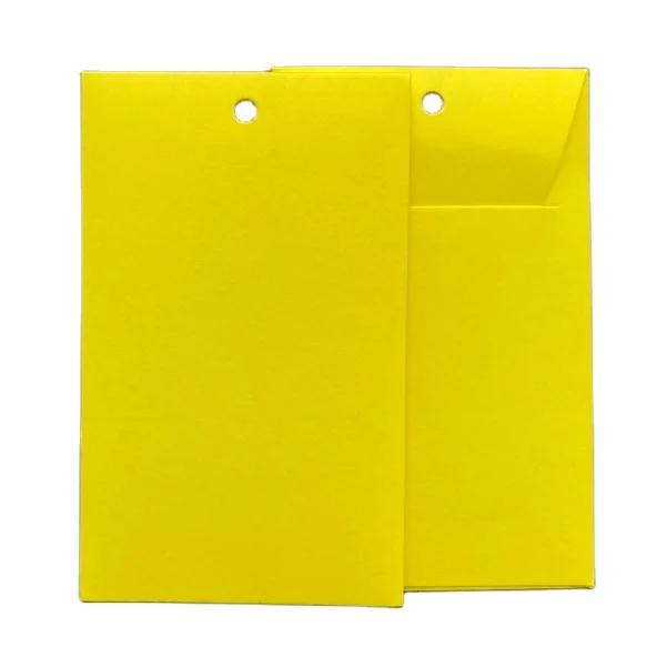 

Wholesale Colors Eco-friendly Paper Envelope Gartment Spare Button Bag for Button Packing