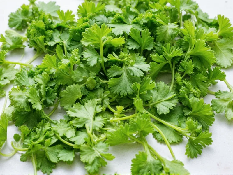 Best Substitutes for Parsley: Practical Herb Alternatives