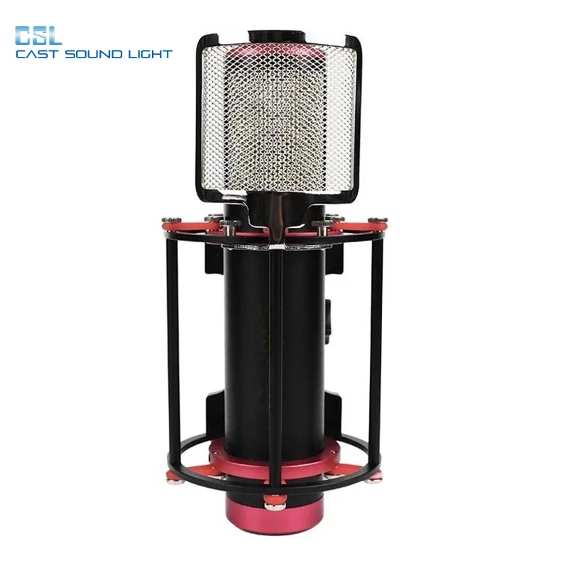 

Professional studio condenser microphone with flight case