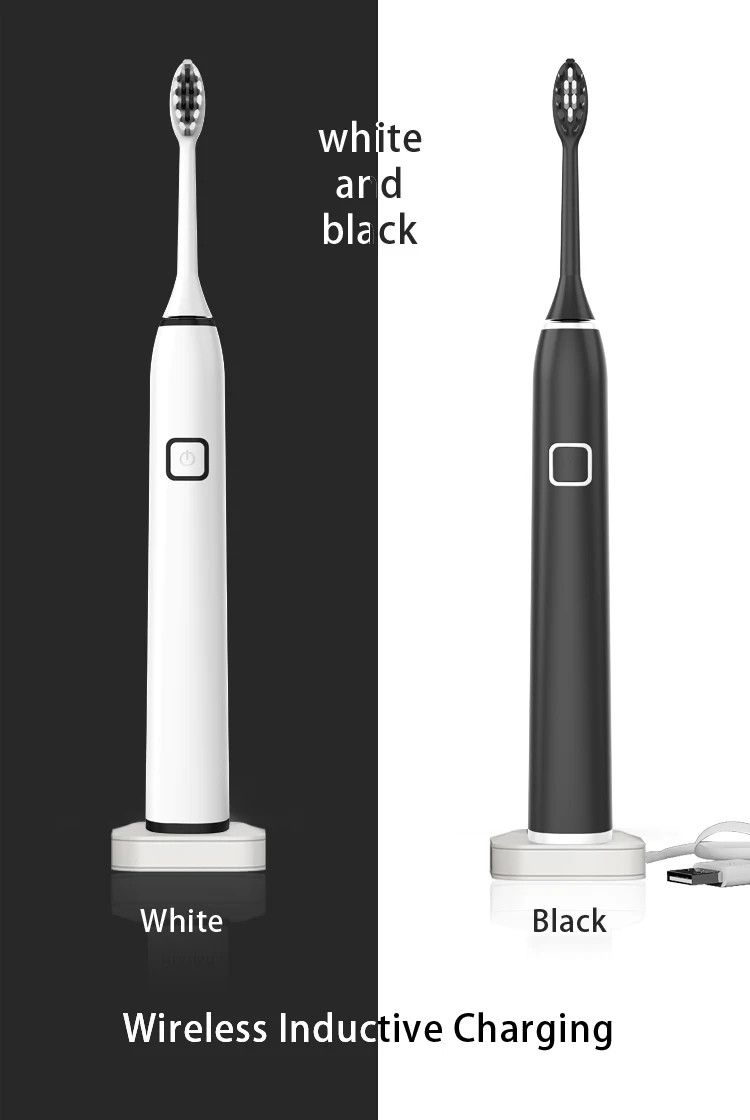 electric toothbrush 10