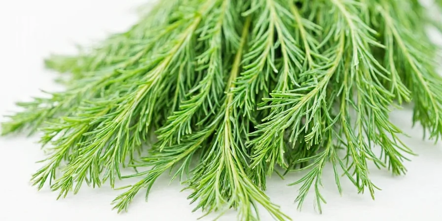 Dry dill weed jar sitting on a countertop next to kitchen tools