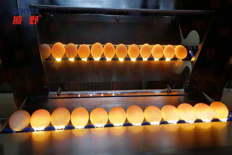 
factory price egg washing machine with vaccum egg lifter 