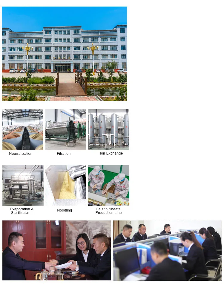 wallpaper adhesive wallpaper glue