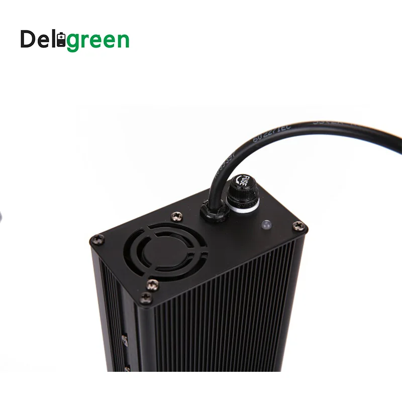 Deligreen 12v 24v 36v 48v 60v 72v Lithium Ion Battery Charger 3amps To ...