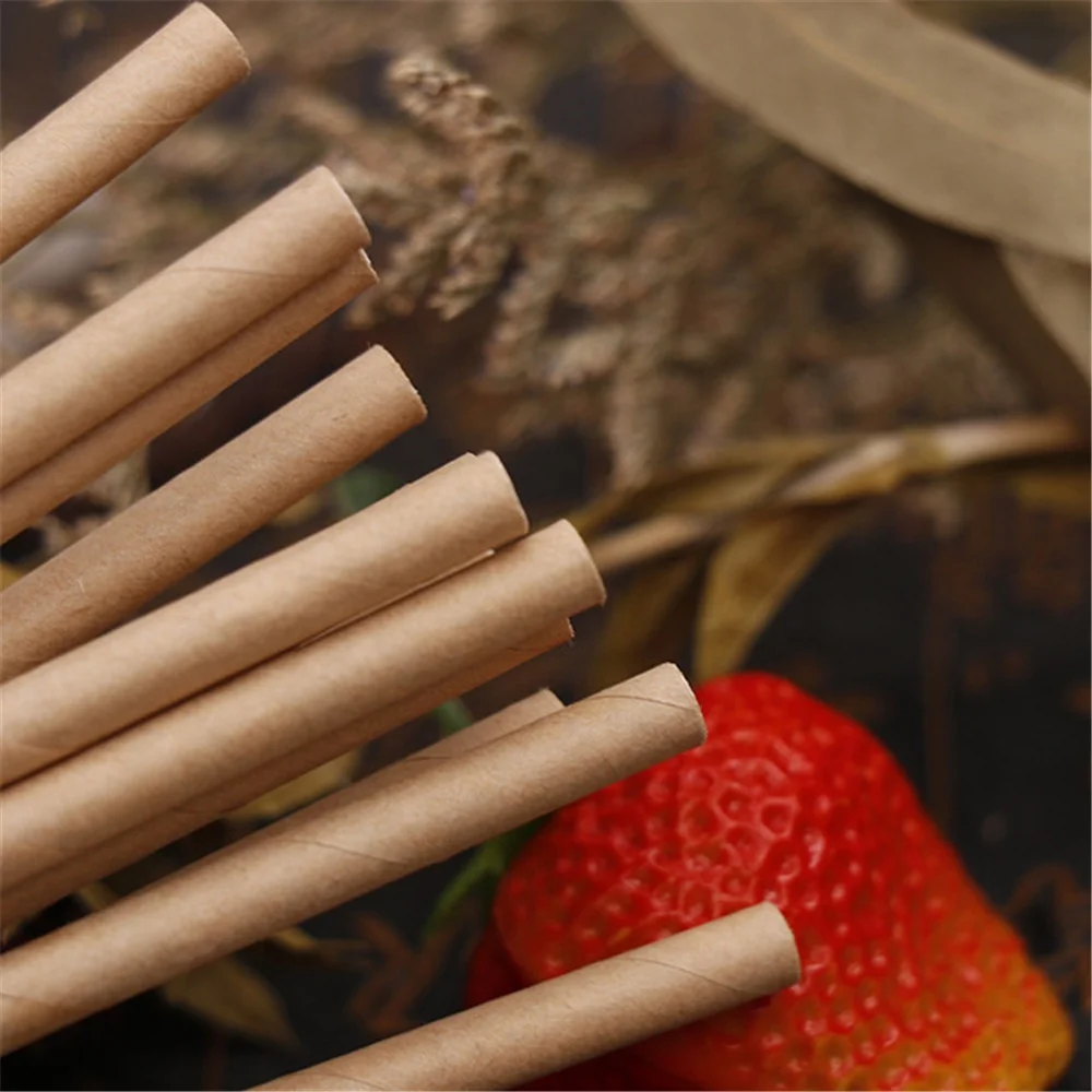 

Hot Biodegradable Kraft Brown Pure Box Package Paper Straw, Customized