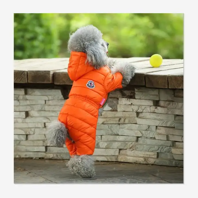 

Fashion brand LOGO design winter and winter warm padded coat dog clothing wholesale