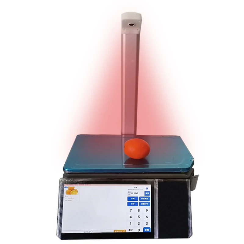 

Economical AI pos scale with label and receipt printer personal scale for retail fruit vegetable shop