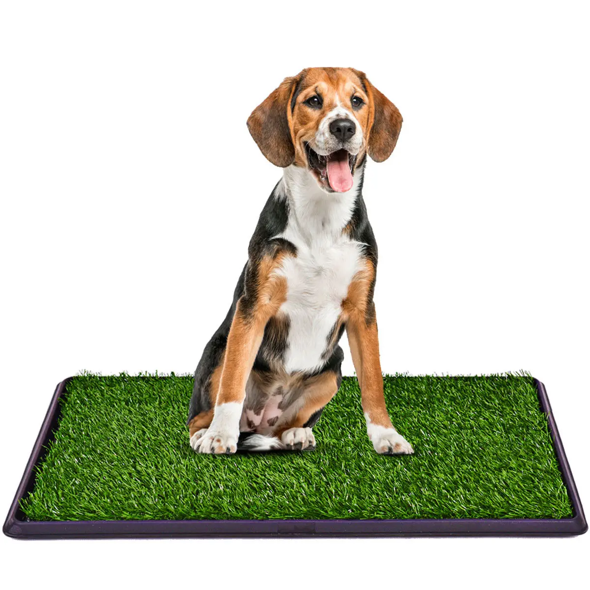 

Artificial Grass Bathroom Mat for Puppies and Small Pets- Portable Potty Trainer Pet Potty Training Pee Dog Puppy Indoor Toilet