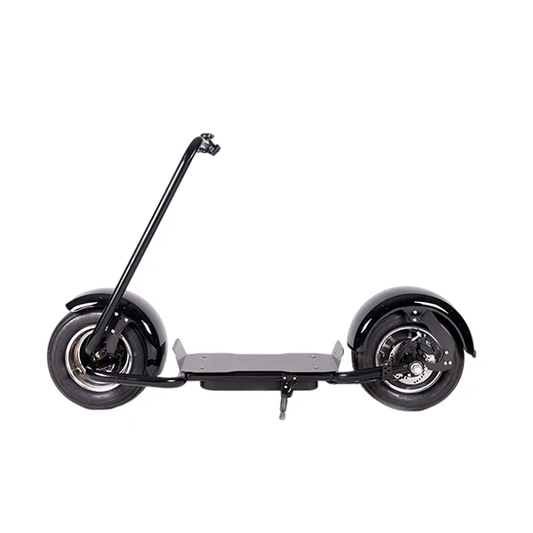 

10 inch electric scooter with hub motor 36v 100 km electric scooter 1000w 2400 w electric scooter 10 zoll elektroroller