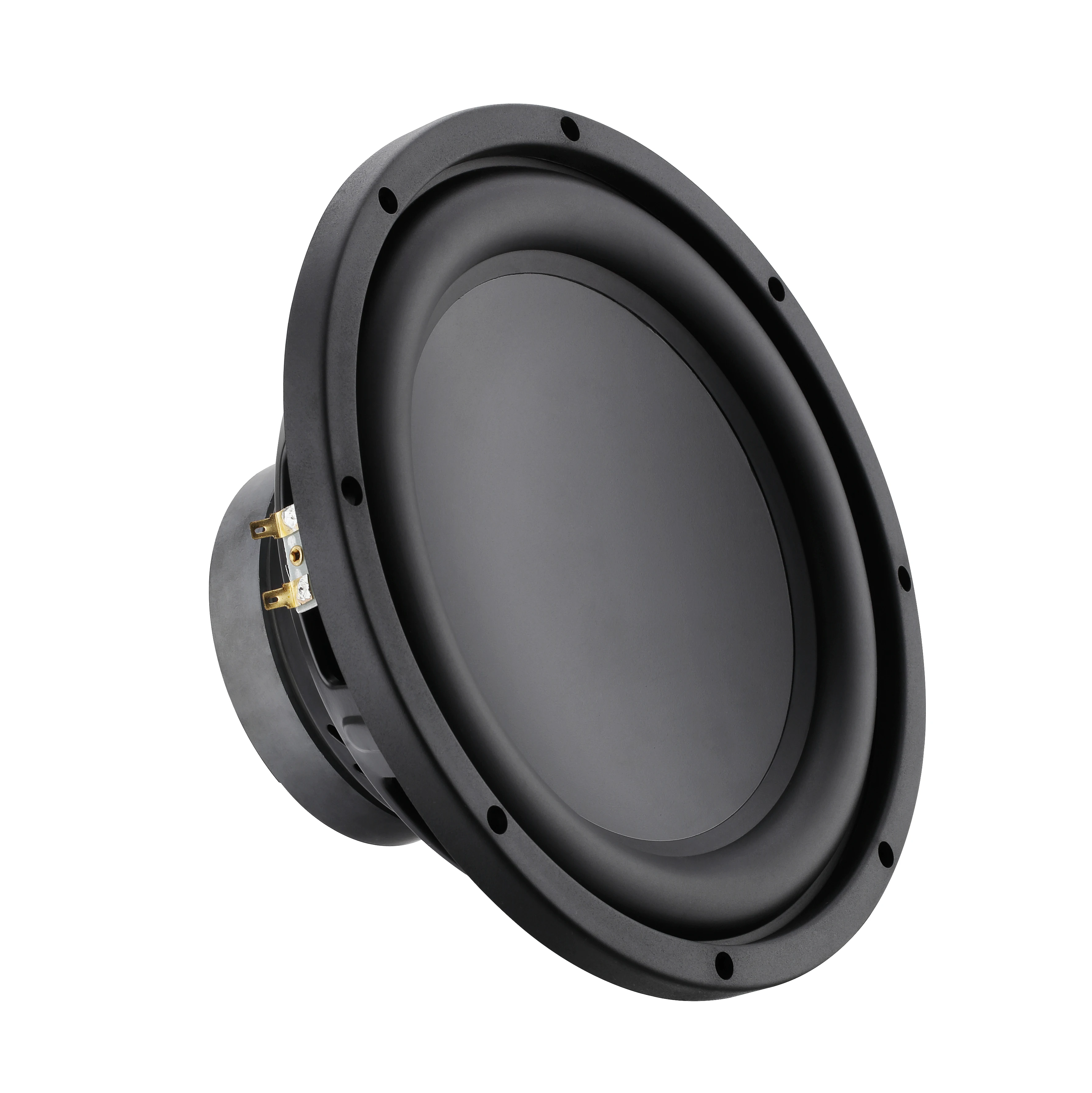 speaker perfect 12 inch
