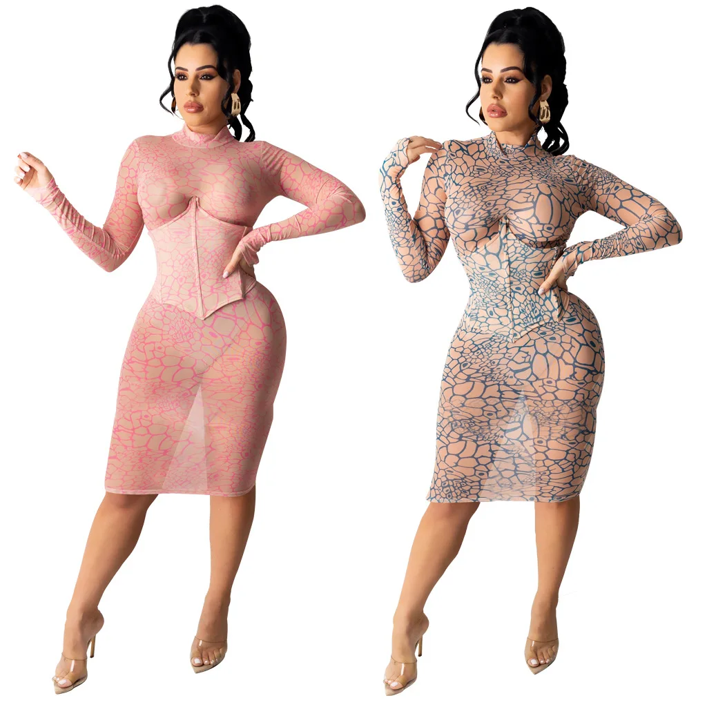 

Casual Loose Sexy fashion high stretch mesh long sleeve Women dress