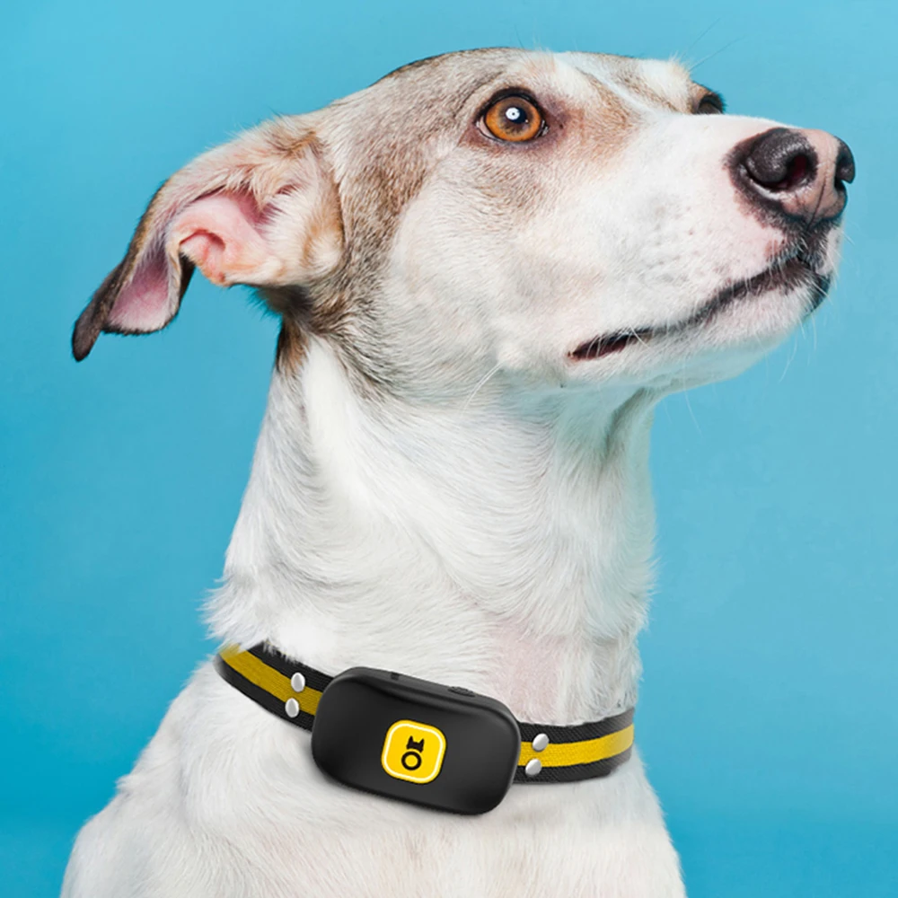 

Amazon Top Seller Battery Vibration Bark Control Electric Dog Barking Control Devices Dog Shock Collars Anti Bark Collar, Black/white