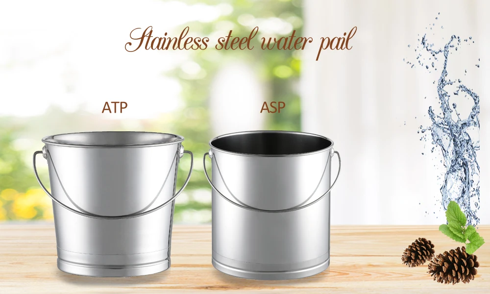 ATP1.jpg