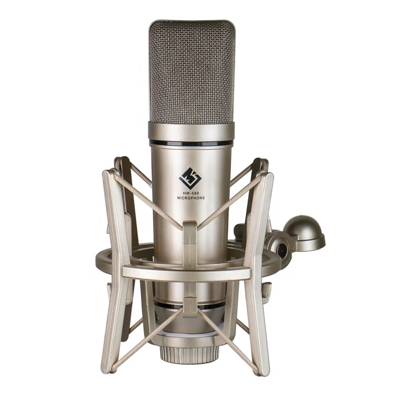 

Factory Wholesale HM-580 Professional Recording Condenser Microphone With Desktop Stand Studio Mic for PC Living Gaming, Silver