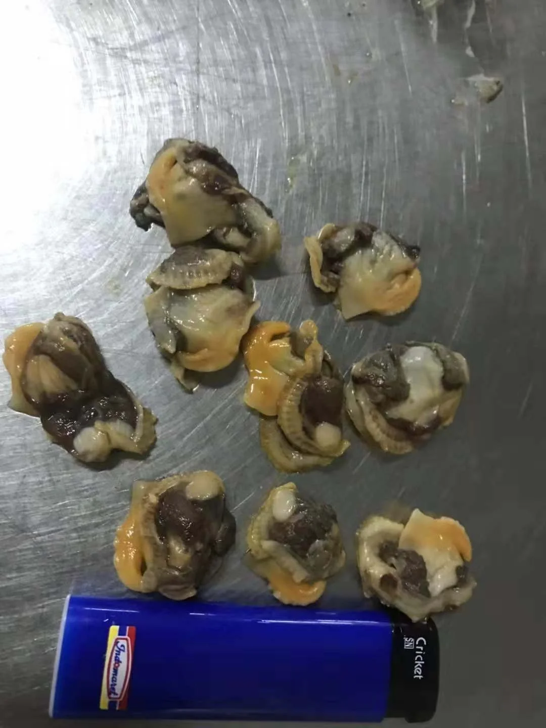 
Good Sale Seafood Shell Fish Frozen Blood Clams Meat 