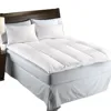 /product-detail/bed-memory-foam-mattress-topper-microfiber-mattress-topper-62396433725.html