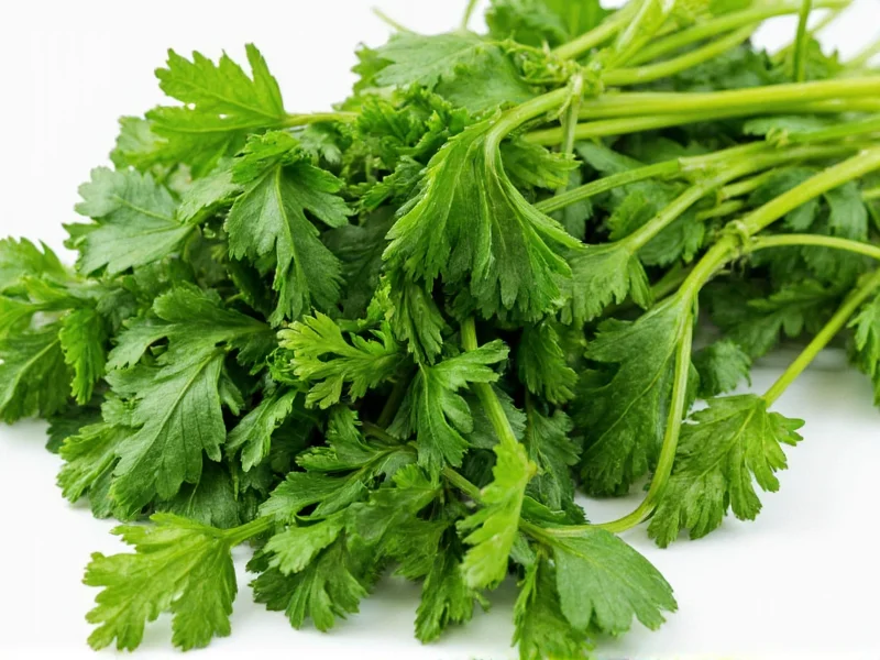 Is Dried Parsley Healthy? Nutritional Facts & Benefits