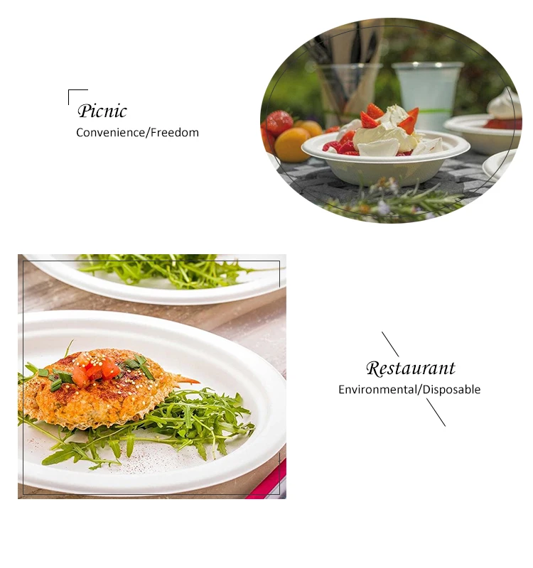picnic and restaurant.jpg