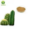 High Quality Cactus Flower Pant Extract
