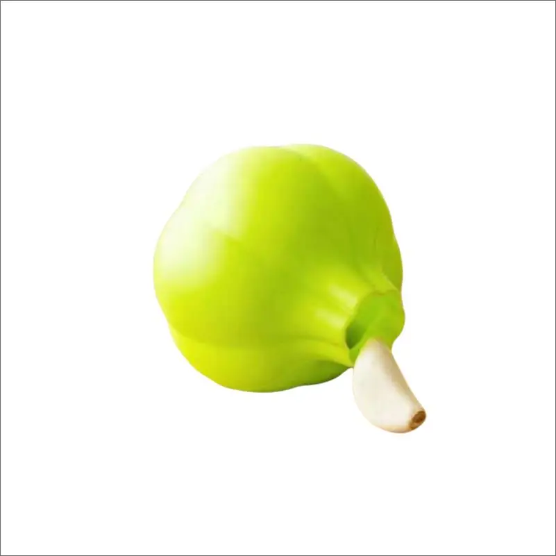 

Factory Direct Stainless Steel Vegetable Peeler garlic peeler