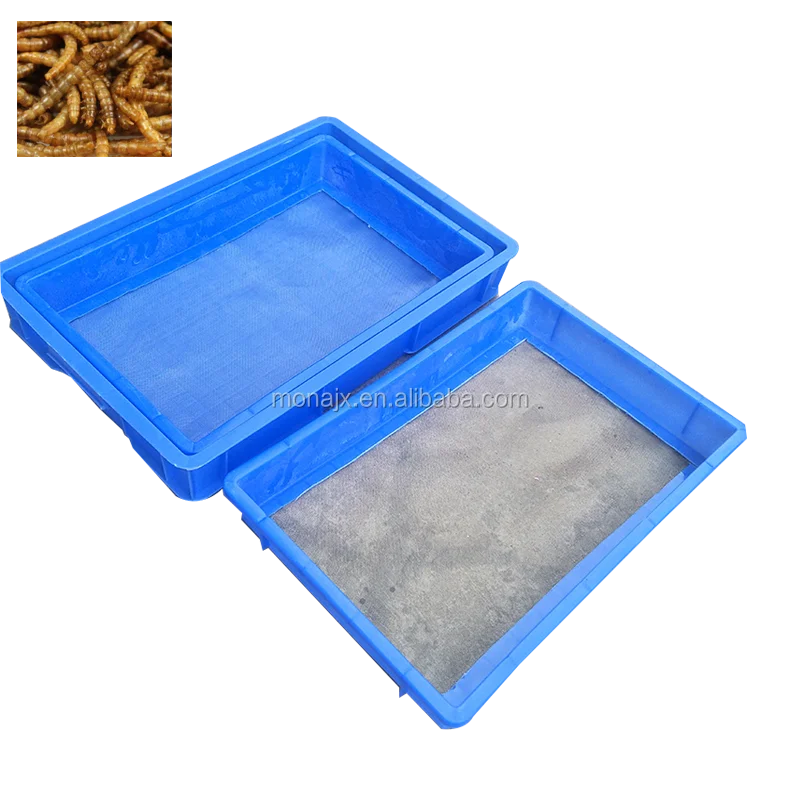 Mealworm Breeding Screens And Box Buy Mealworm Breeding Mealworm