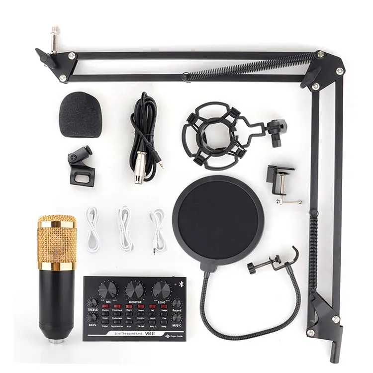 

New Products USB Professional Voice Recording Studio Condenser Microphone