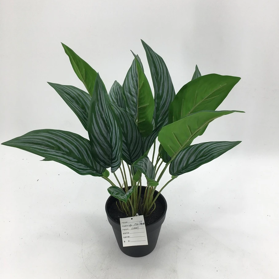 

Wholesale price small size real touch green leaves artificial calathea plants in pot, Natural green color