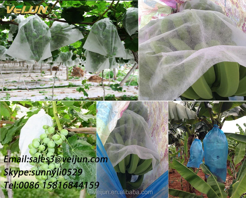 
[FACTORY ] PP nonwoven Fruit protection bag/Banana grow bag 