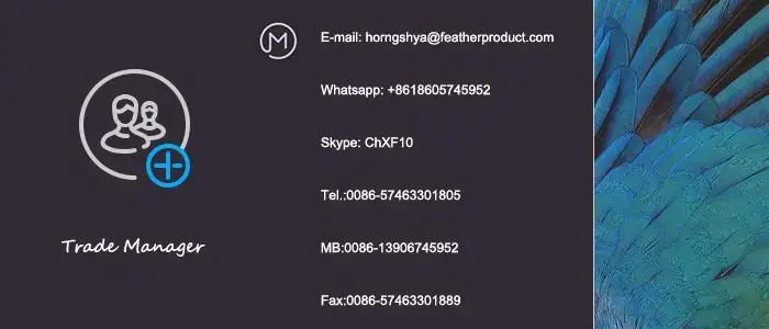 Horng Shya Factory High Quality Length Customized Pheasant Feather with Competitive Price