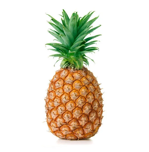 
Nutritive Fresh and Quality Pineapple From Srilanka For Sale 