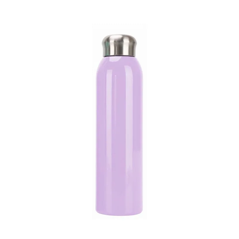 

Wholesale Double Wall Stainless Steel Sport Vacuum Insulated Flask