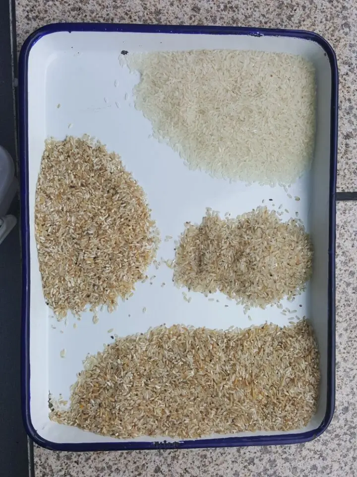 
Rice Processing machinery Rice Color Sorter 