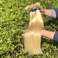 

Free Shipping Blonde Straight Human Hair 613 Color Hair Weave Bundles Remy Brazilian 613 Full Blonde 10 to 30 Inches Bundles