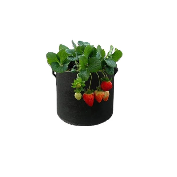

1 Gallon to 500 Gallon Fabric Garden Grow Bags Grow Pots Plant Grow Bags