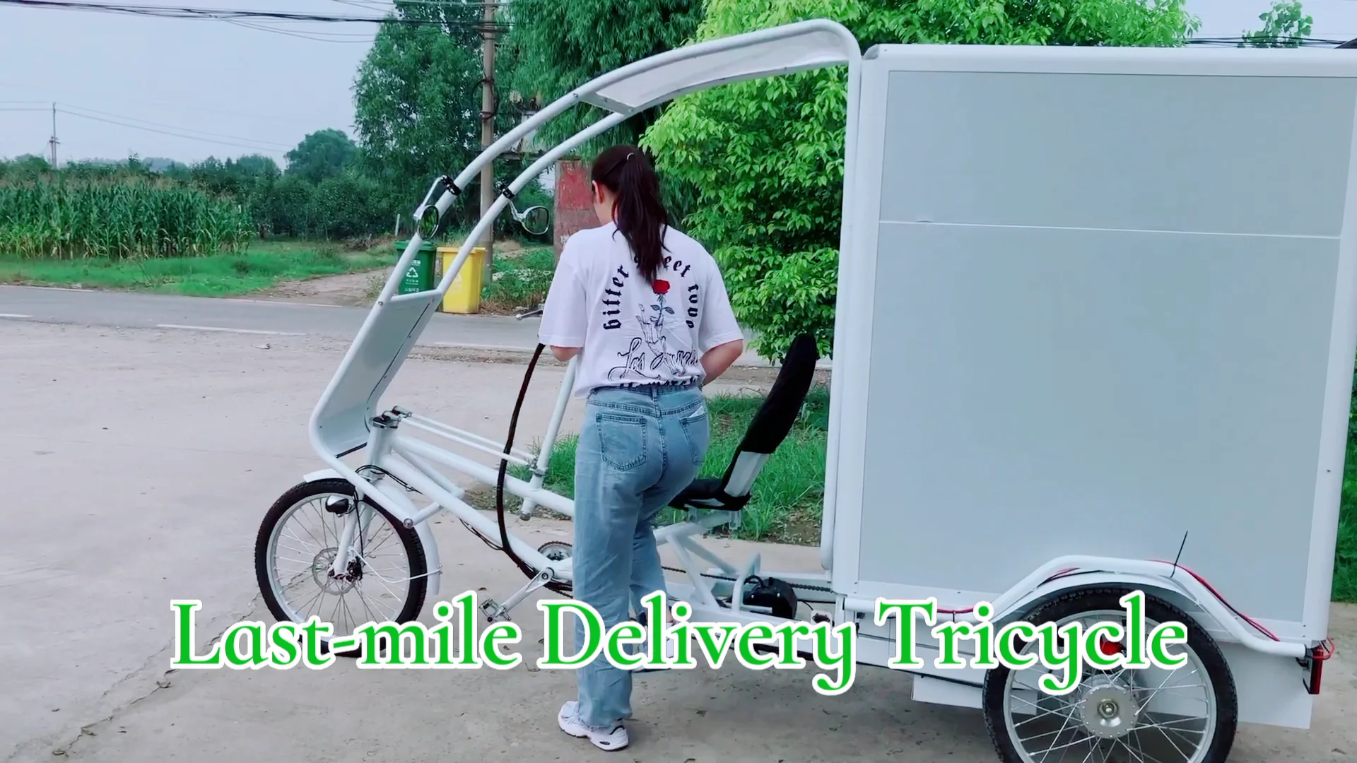 Free Import Duty City Food Cart Delivery Needs Bike Electric Cargo
