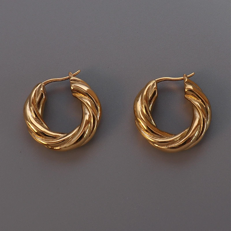 

18K Gold Plated Stainless Steel Circle Thick Rope Twisted Hoop Earring, Silver, gold, rose gold color
