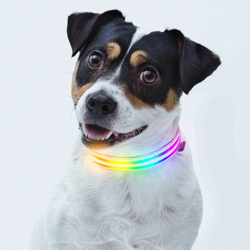 

XL/L/M/S custom size LED double strips led dog collar strong light up