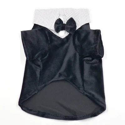 

VK122-Gentledog evening dress suit and tie, Picture shows