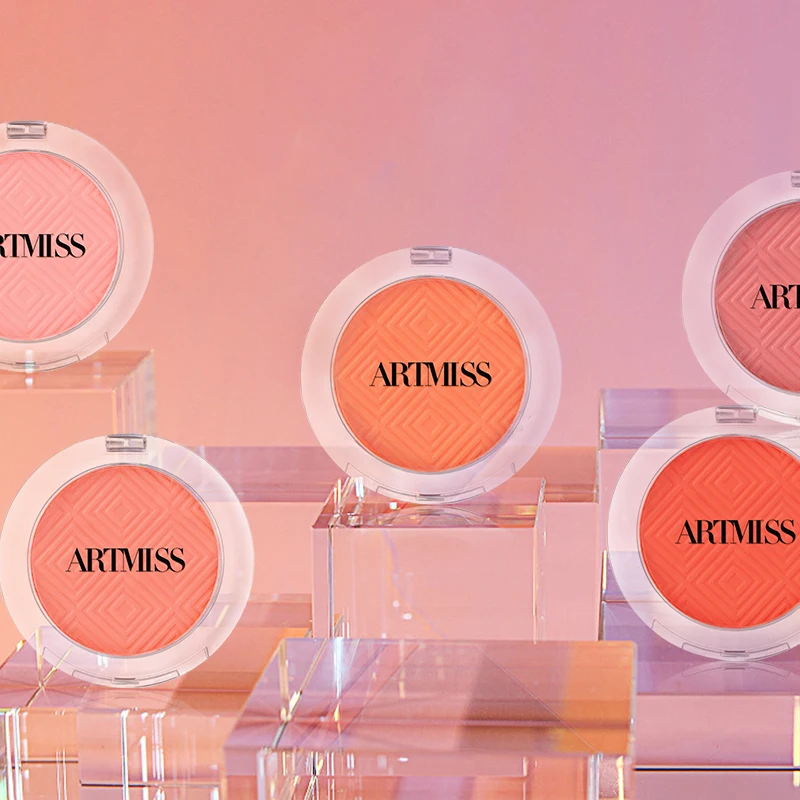 

10 Colors Blush Private Label Single Blush Palette Fine Powder Blush Private Label, 10colors