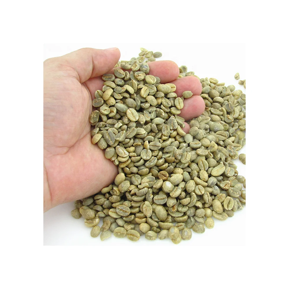 
Wholesale Vietnamese High Quality Green Coffee Beans With Best Price Arabica Beans For Import Good Quality Raw Coffee Beans  (62017796537)