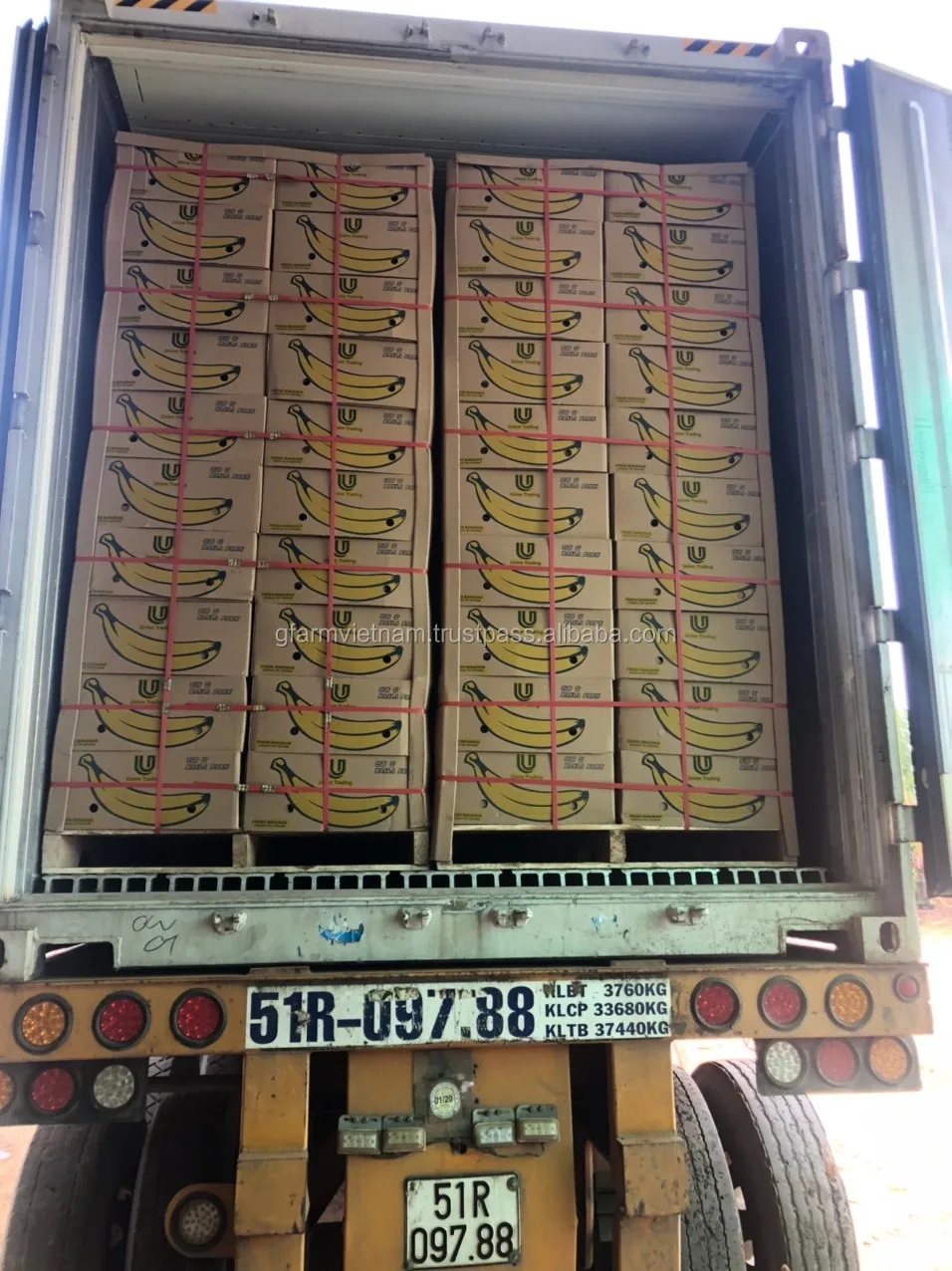 
Wechat +84971316435 good price for fresh banana reach Shanghai port China 